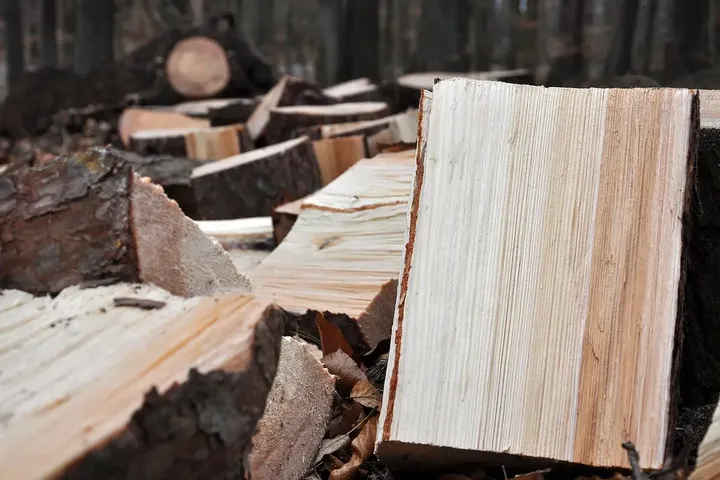 Bloques de leña de pino recién partidos, de madera clara