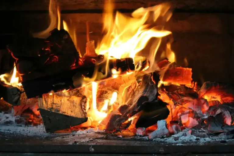 Leña ardiendo en una chimenea, con las llamas y las brasas a la vista