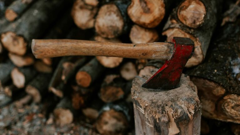 Madera más blanda del mundo