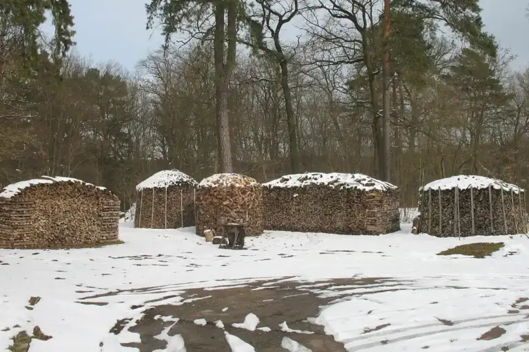 Pilas de leña apiladas al aire libre