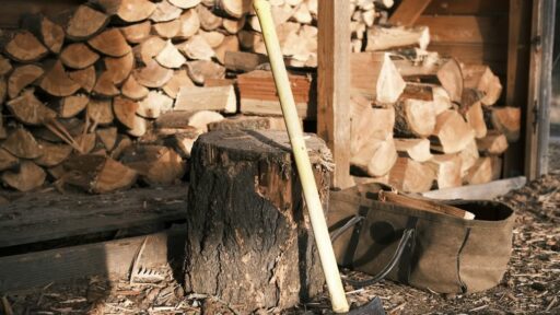 ¿Cuál es la madera más dura del mundo?