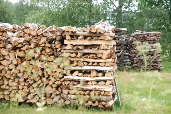 Pilas de leña apiladas al aire libre