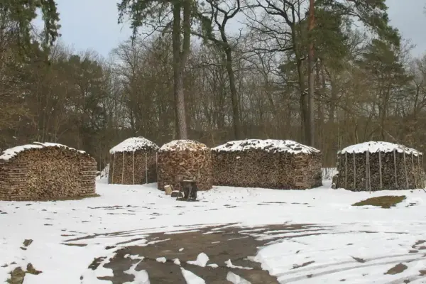 Pilas de leña apiladas al aire libre